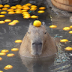 Meet your Posher, Ash